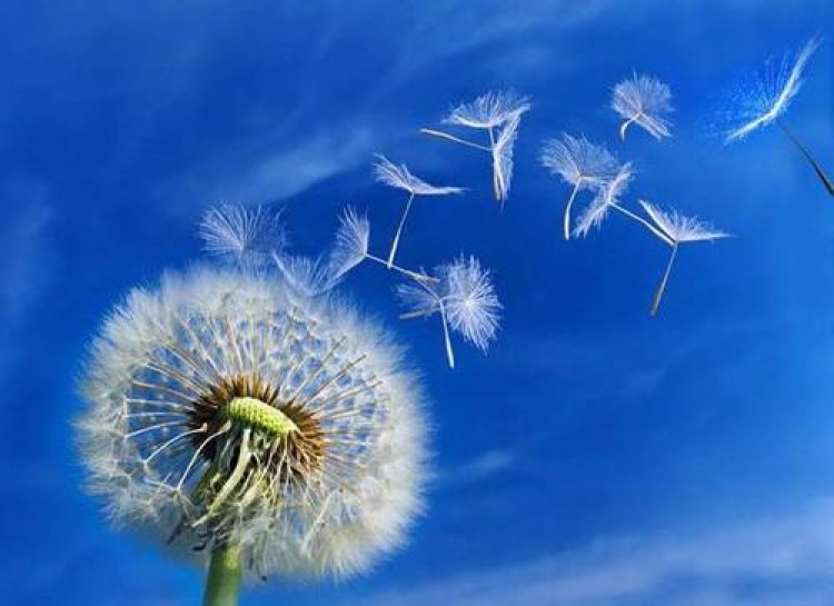 广而告之的意思