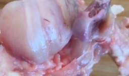 鸡翅包饭怎么做