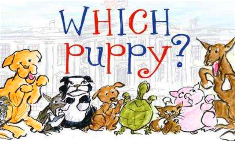 which是什么意思