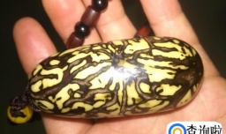 怎样打磨菩提子