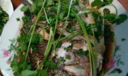 深海鱼头的家常做法