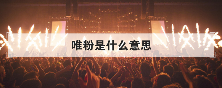 唯粉是什么意思