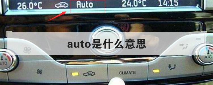 auto是什么意思