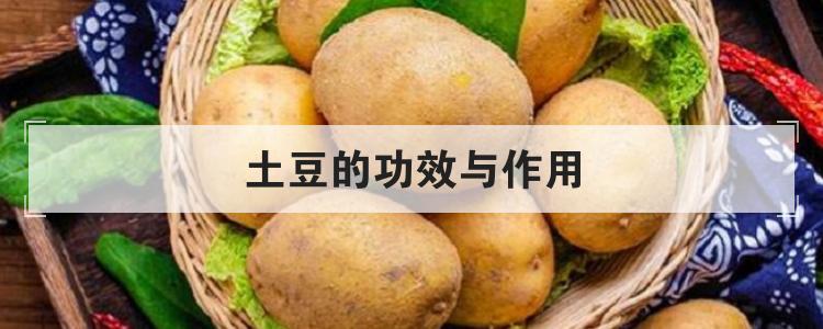 土豆的功效与作用br