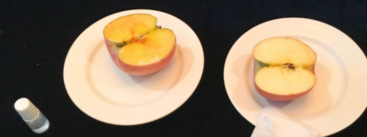 抗氧化是什么意思