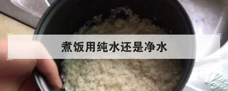 煮饭用纯水还是净水