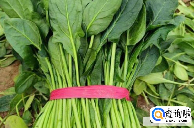 菠菜的储存方法