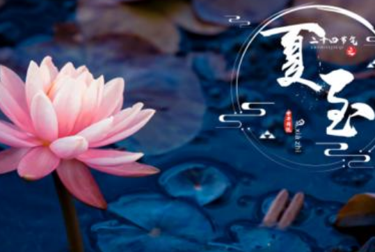 立夏和夏至有什么区别