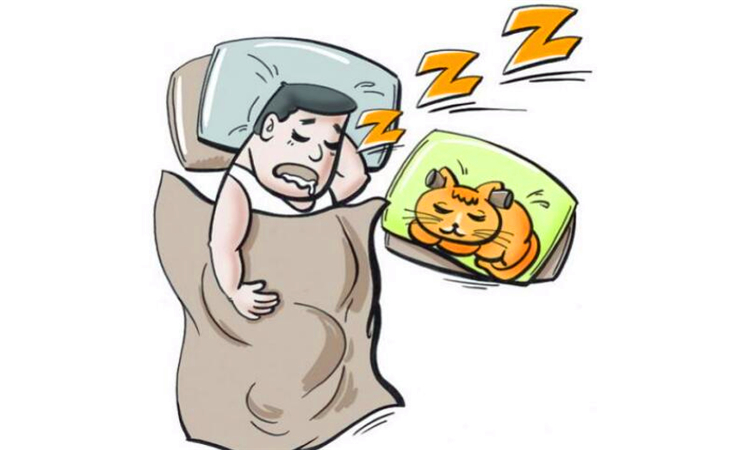 为什么会打呼噜