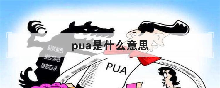 pua是什么意思