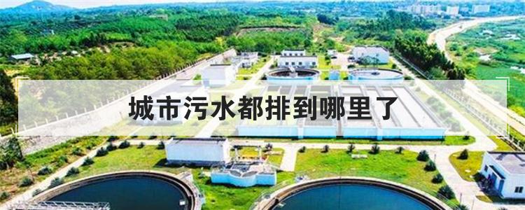 城市污水都排到哪里了