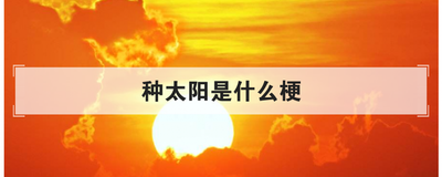 种太阳是什么梗