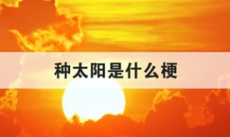 种太阳是什么梗