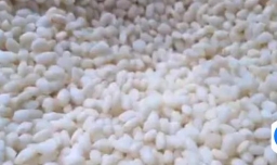 糯米糍粑怎么做？