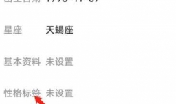 安卓版秀聊怎样设置性格标签