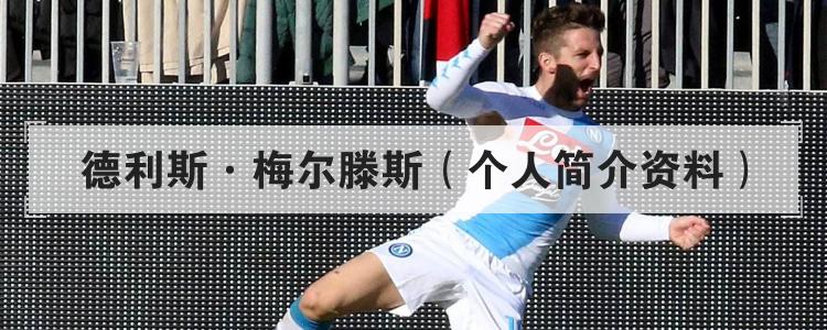 德利斯·梅尔滕斯（个人简介资料）
