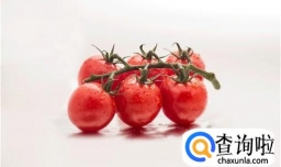 圣女果的功效与作用详细介绍