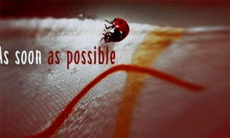 possible什么意思