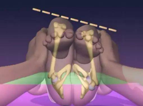 股骨长是什么意思