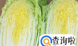 大白菜怎么腌制最好吃 大白菜泡菜的最简做法