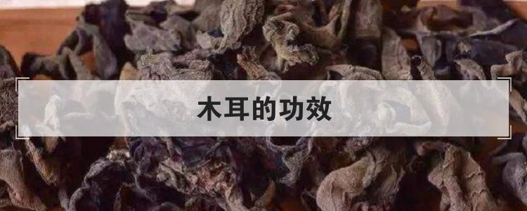 木耳的功效