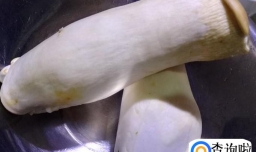 杏鲍菇怎么做最好吃