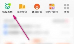 怎么查看支付宝蚂蚁森林物种勋章