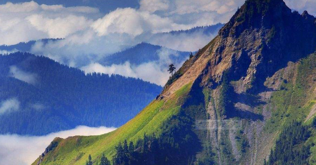 太多的借口太多的理由是什么歌