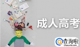 成人高考每年有几次考试