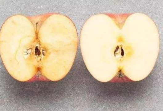 苹果切开后为什么切口会变成褐色