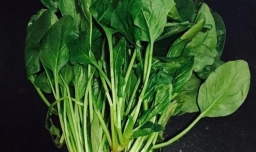 鲜蔬手擀面的家常做法