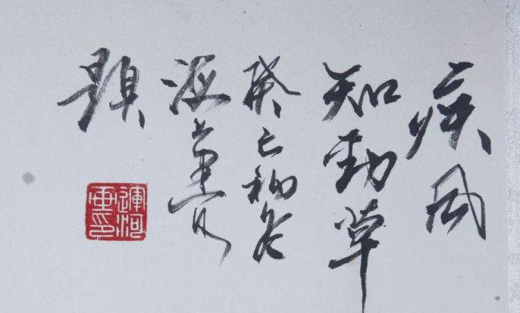 疾风知劲草板荡识诚臣是什么意思