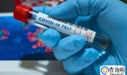 是不是低估新冠死亡人数？