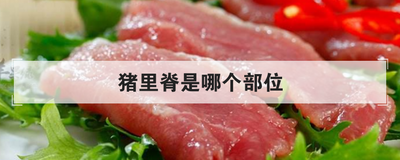 猪里脊是哪个部位