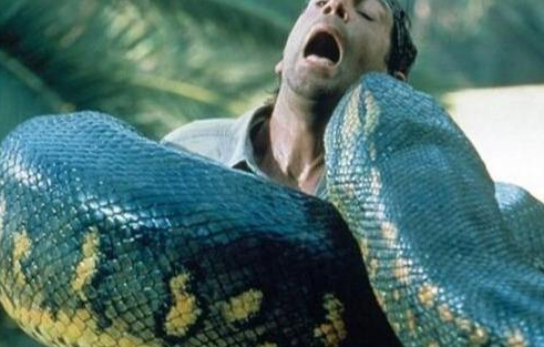 世界上最大的蛇