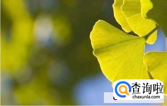 秋季养生的重点是什么