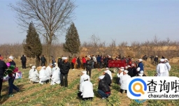 农村丧葬改革主要针对哪些问题