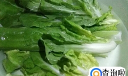 白菜汤的做法大全