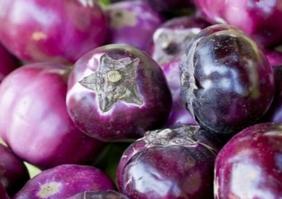 茄子的营养与功效与禁忌