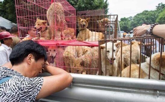 玉林狗肉节是几月几号
