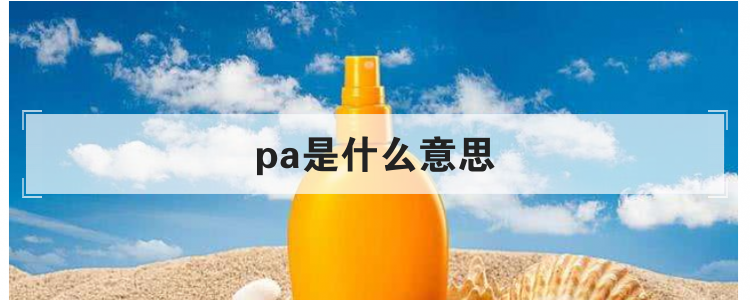 pa是什么意思