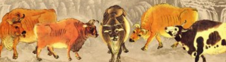 五牛图的寓意是什么