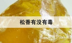 松香有没有毒