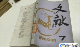 英语文献翻译方法