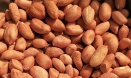 怎样做美味的糖霜花生？