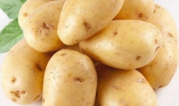 土豆饼的制作方法