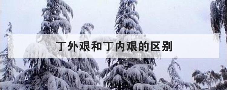 丁外艰和丁内艰的区别