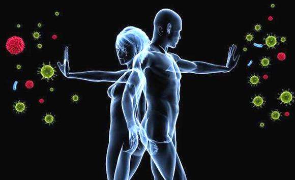 枸杞的功效与作用