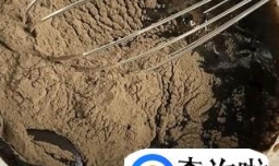 如何自制龟苓膏及应注意的问题