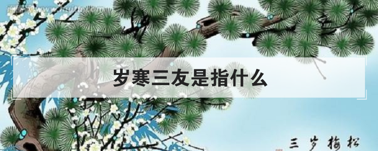 岁寒三友是指什么